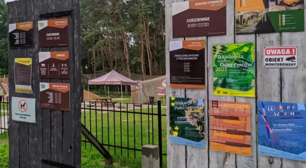 Park Linowy Lubin: Trasy, ceny, godziny zaplanuj przygodę!