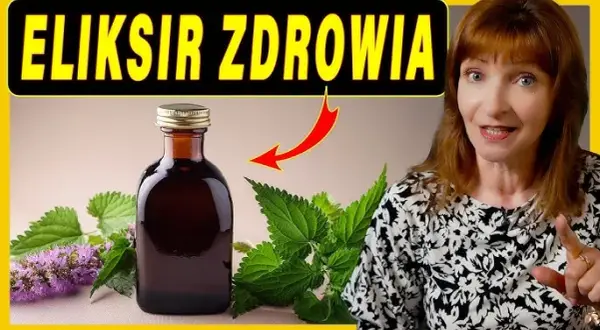 Jak zrobić domowe ekstrakty? Ziołowe eliksiry krok po kroku