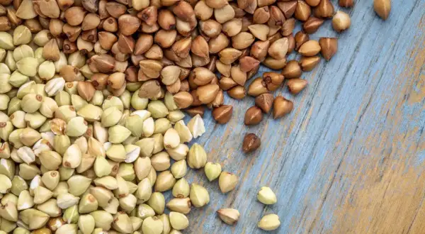 Zielona i brązowa kasza gryczana na niebieskim tle. Czy kasza gryczana ma gluten? Nie, jest bezglutenowa!