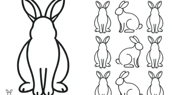 Hasen-Vorlagen zum Ausdrucken: Kostenlos & Kreativ Malen & Basteln