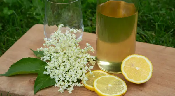 Zutaten für hollersirup selber machen: Holunderblüten, Zitronenscheiben und ein Glas mit selbstgemachtem Sirup.
