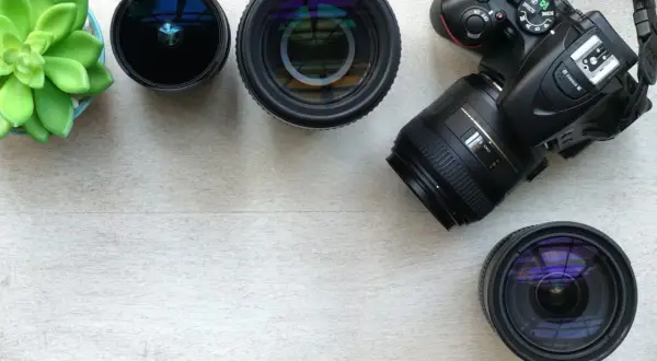 Aparat fotograficzny z obiektywami i zieloną rośliną na jasnym tle.