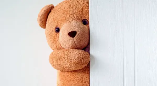 Co to jest Dzień Pluszowego Misia i jak go wyjątkowo świętować