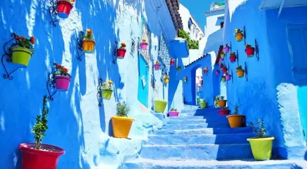 Escaleras azules adornadas con macetas de colores vibrantes, un sueño para quien decide viajar solo a Marruecos.