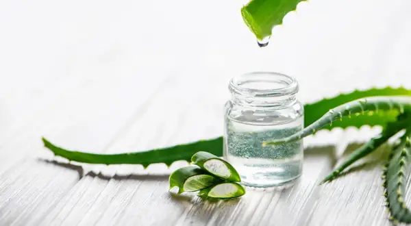 Aloe Vera Gel in einem Glasfläschchen, daneben aufgeschnittene Aloe Vera Blätter. Tropfen von Aloe Vera fallen auf das Gel, ideal für offene Wunden.