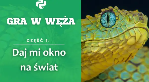 Gra w węża: Daj mi okno na świat. Zbliżenie na głowę jadowitego węża o żółto-zielonych łuskach i niebieskim oku.