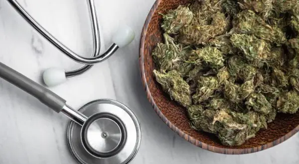 Medyczna marihuana w Polsce: wskazania, działanie i korzyści