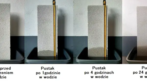 Zjawisko włoskowatości: jak działa kapilarność i jej zastosowanie w naturze