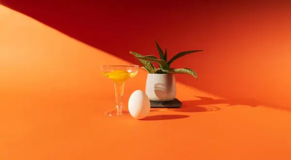 Uovo, bicchiere con tuorlo e pianta in vaso su sfondo arancione. Un'elegante composizione in stile still life moda.