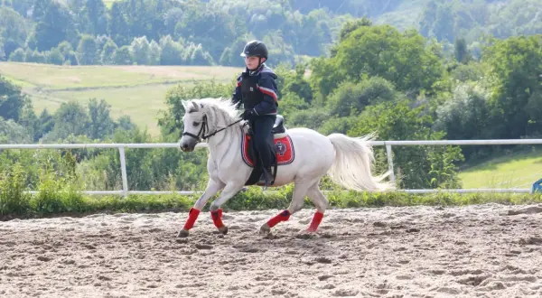 Młody jeździec na białym kucyku, z czerwonymi ochraniaczami na nogach, galopuje po piaskowej ujeżdżalni. W tle zielone wzgórza.