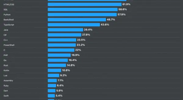 Graphique montrant les langages informatiques les plus utilisés : JavaScript domine avec 66%, suivi de HTML/CSS et SQL.