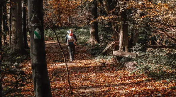 Jesień w Bieszczadach. Rodzina wędruje leśnym szlakiem, dziecko w nosidle.