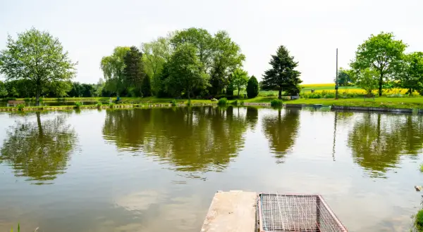 Fischland łowisko i smażalnia ryb. Spokojna woda, zielone drzewa i ławki zapraszają na relaks i wędkowanie.