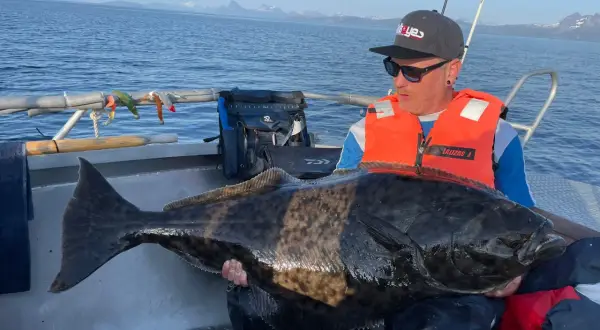 Ein Mann mit orangefarbener Schwimmweste hält einen riesigen Heilbutt auf einem Boot. Ein erfolgreicher Tag beim Sommarøy Angeln mit beeindruckendem Fang.
