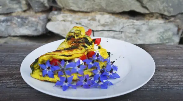 Omlet z pomidorami i serem, ozdobiony niebieskimi kwiatami ogórecznika. Idealny pomysł na śniadanie, inspirowany prostymi przepisami.