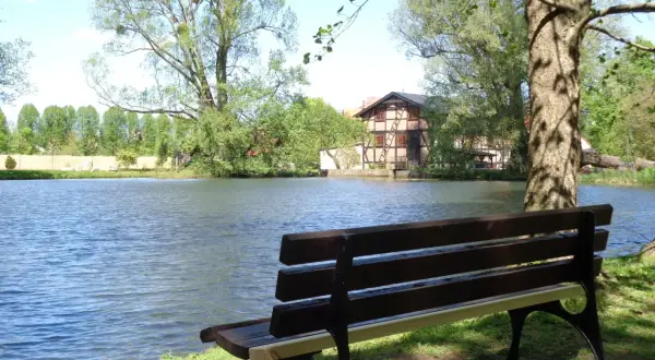 Ławka nad jeziorem, idealne miejsce, gdzie na spacer w Gdańsku. W tle malowniczy dom i bujna zieleń.