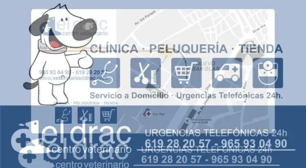 El Drac veterinario: atención profesional y servicios para tu mascota