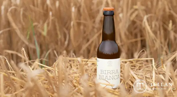 Una bottiglia di birra bianca Tellan, tra spighe dorate, simbolo di birre di qualità.