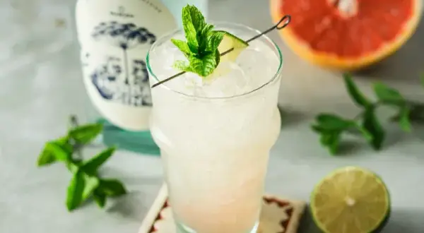 Einfache Gin-Cocktails: Schnell & köstlich mixen Rezepte für Einsteiger