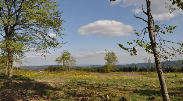 Grüne Wiesen und Bäume auf dem Kahler Asten laden zum Wandern ein. Ein sonniger Tag mit Wolken.