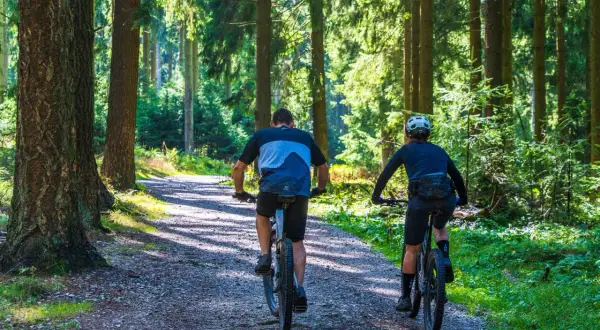 Dwóch rowerzystów przemierza leśną ścieżkę, ciesząc się aktywnym weekendem w Polsce.