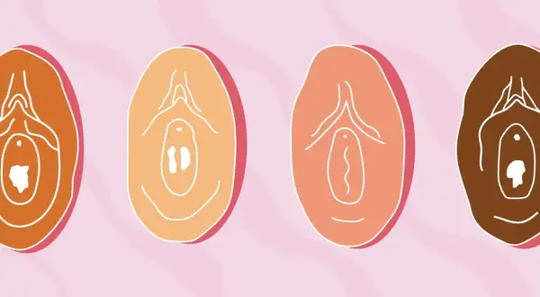Ilustracje przedstawiają różne warianty kobiecych narządów płciowych. Co oznacza dziewica? To pytanie, na które odpowiedzi szukają różne kultury.