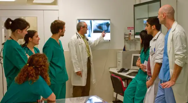 Facultad de Veterinaria Unizar: Programas, Instalaciones y Más Información
