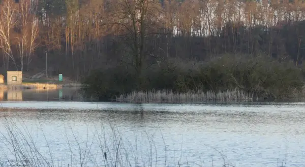 Jezioro Białe Sosnowickie: Nie Okuninka! Raj dla wędkarzy i natury