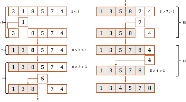 Illustration du tri par insertion en Python : étapes montrant comment les éléments sont insérés dans une liste triée.