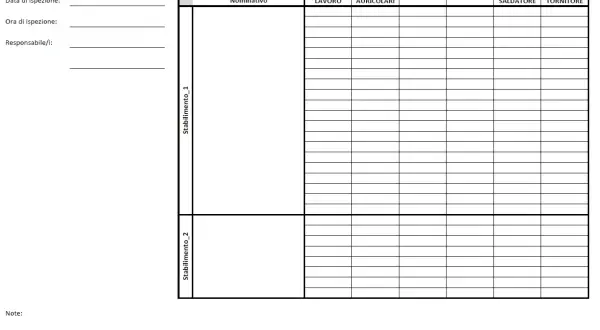 Modulo consegna DPI: verbale di verifica utilizzo dispositivi protezione individuale, con campi per data, ora, responsabile, stabilimento e tipologia DPI.