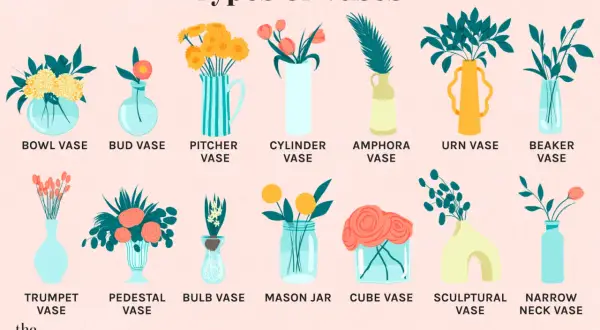Illustration showcasing various vase shapes, from classic bud and bowl vases to modern sculptural and narrow neck vase styles.