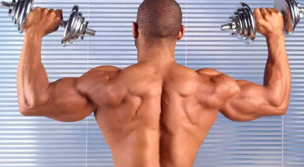 Trapecios: Ejercicios clave, técnica perfecta y desarrollo total