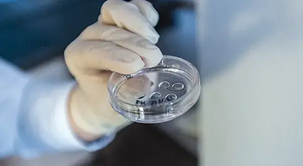 Czy in vitro to grzech? Moralność i kontrowersje w Kościele katolickim