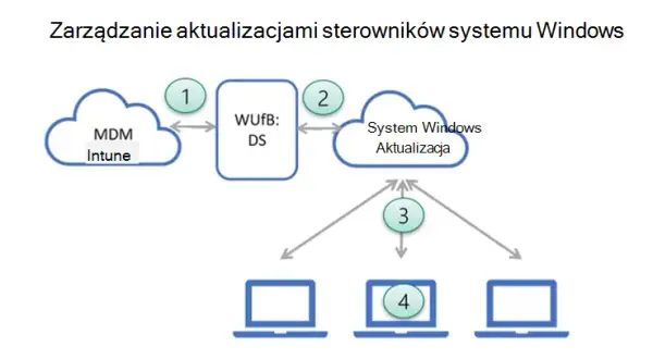 Jak zaktualizować Windows i uniknąć problemów z aktualizacjami