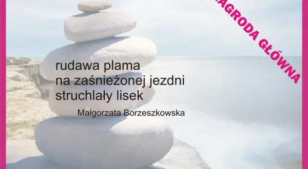 Rudawa plama na zaśnieżonej jezdni, struchlały lisek. To haiku po polsku, nagrodzone główną nagrodą.