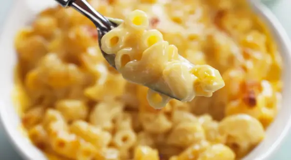 Une cuillère de mac and cheese crémeux et doré, prêt à être dégusté.