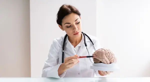 Co robi neurolog? Objawy, choroby, wizyta Twój mózg pod lupą