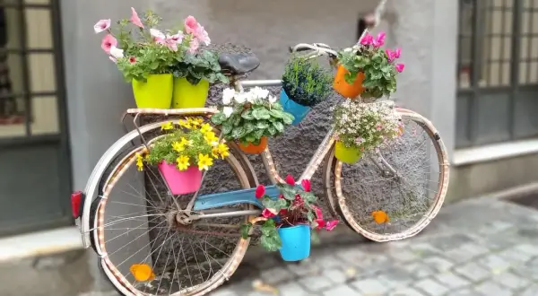 Kwietnik z roweru: Zmień stary grat w ogrodową perełkę DIY!