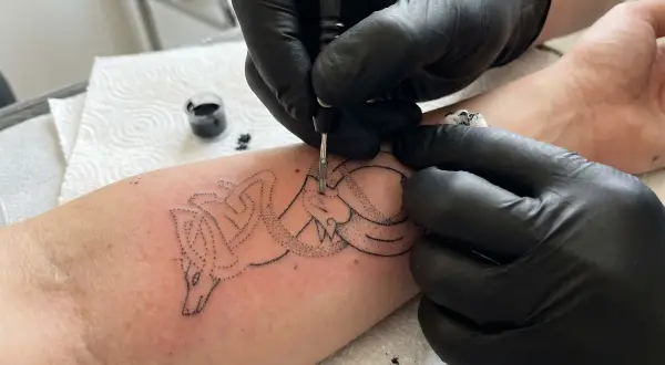 Artysta tworzy tatuaż wilka metodą handpoke na przedramieniu.