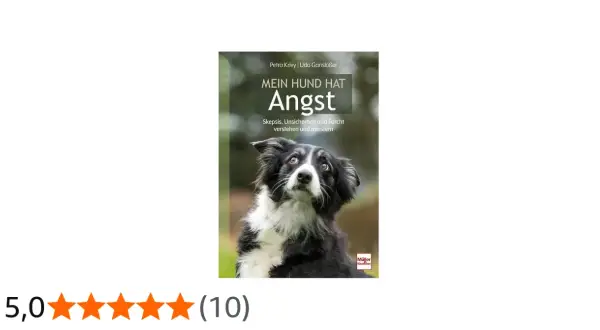 Ein Border Collie mit ängstlichem Blick schaut nach oben. Das Buchcover "Mein Hund hat Angst" zeigt, wie man die Furcht des Hundes versteht.