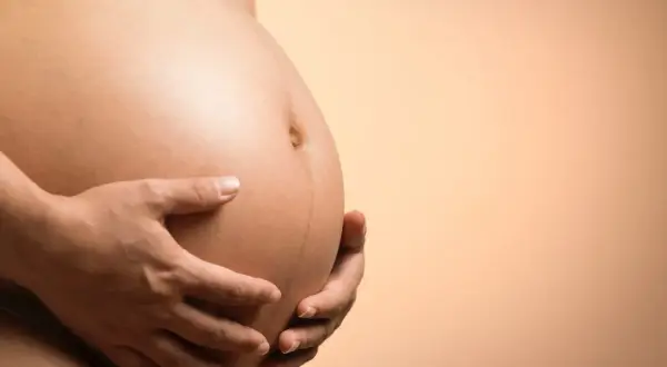 Gravid mage med händer som håller om den. En mörk linje syns på magen, tecken på lyckad hinnsvepning.