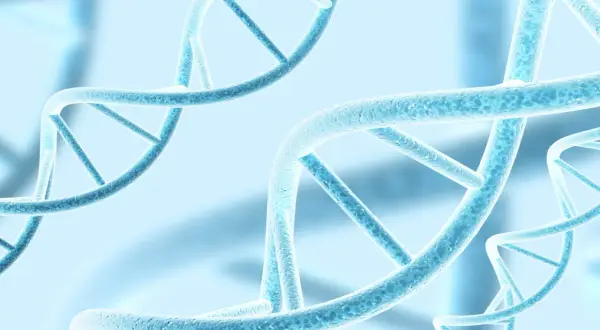 Niebieskie, spiralne struktury DNA, symbolizujące polimorfizm i różnorodność genetyczną, unoszą się w delikatnym, rozmytym tle.