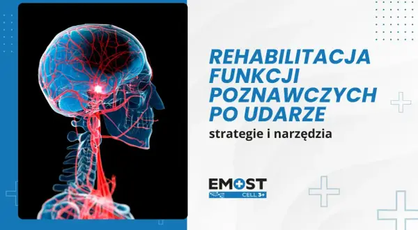 Ilustracja mózgu z naczyniami krwionośnymi, symbolizująca rehabilitację funkcji poznawczych po udarze. Dostępne są karty pracy.