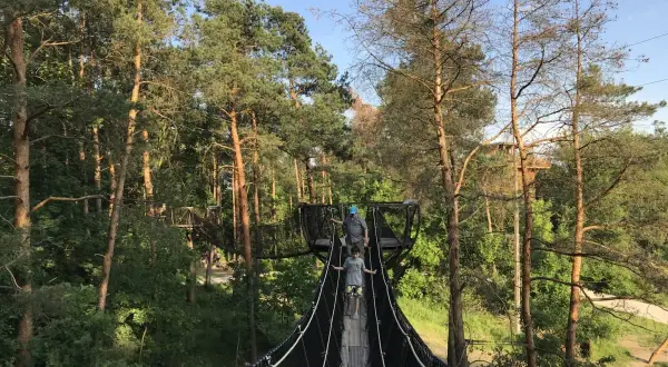 Niesamowity zdziar spacer w koronach drzew! Dzieci i dorośli pokonują wiszący most, otoczeni zielenią i słońcem.