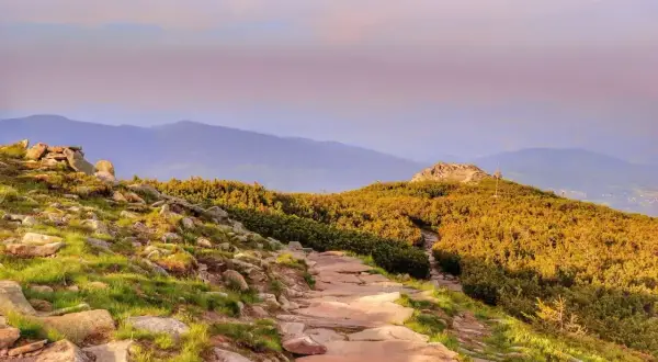 Kamienista ścieżka prowadzi przez skaliste zbocze porośnięte kosodrzewiną. W oddali widać łagodne pasma górskie, a nad nimi pastelowe niebo. To widok z miejsca, gdzie jest Babia Góra.