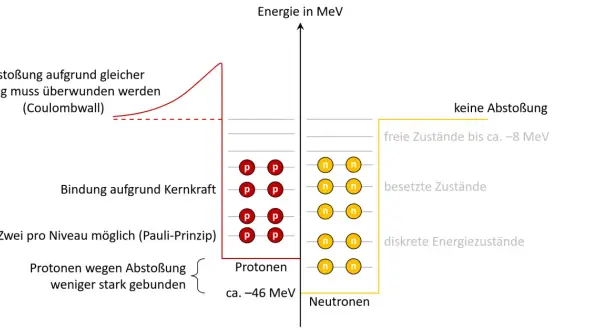 Energielevel von Protonen und Neutronen. Protonen sind wegen Abstoßung weniger gebunden, was für den Beta-Plus-Zerfall relevant ist.