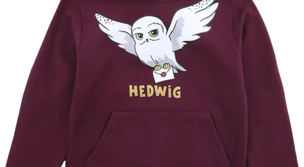 Bluzy Harry Potter dla dziewczynki: Jak wybrać idealną bluzę?