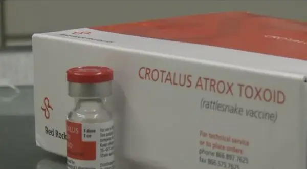 A vial and box of Crotalus Atrox Toxoid, a rattlesnake vaccine for dogs, are shown.