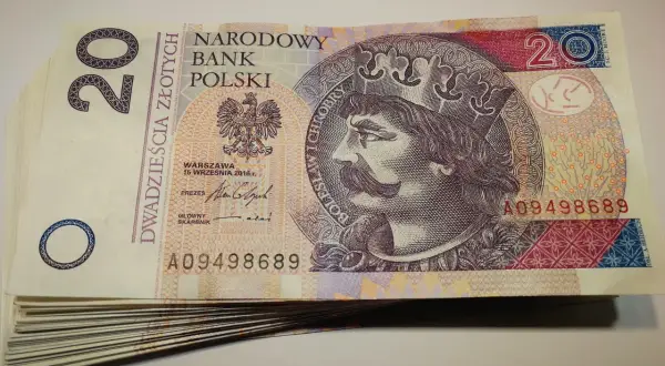 Stos dwudziestozłotowych banknotów z wizerunkiem króla. Szukasz banku, który nie sprawdza KRD?
