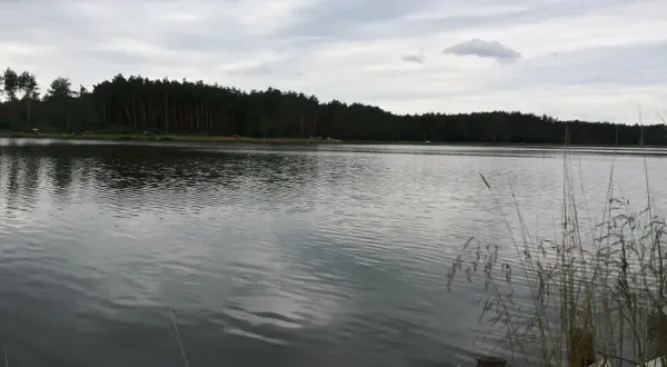 Łowisko Jagodno: idealne miejsce na spokojne wędkowanie i relaks